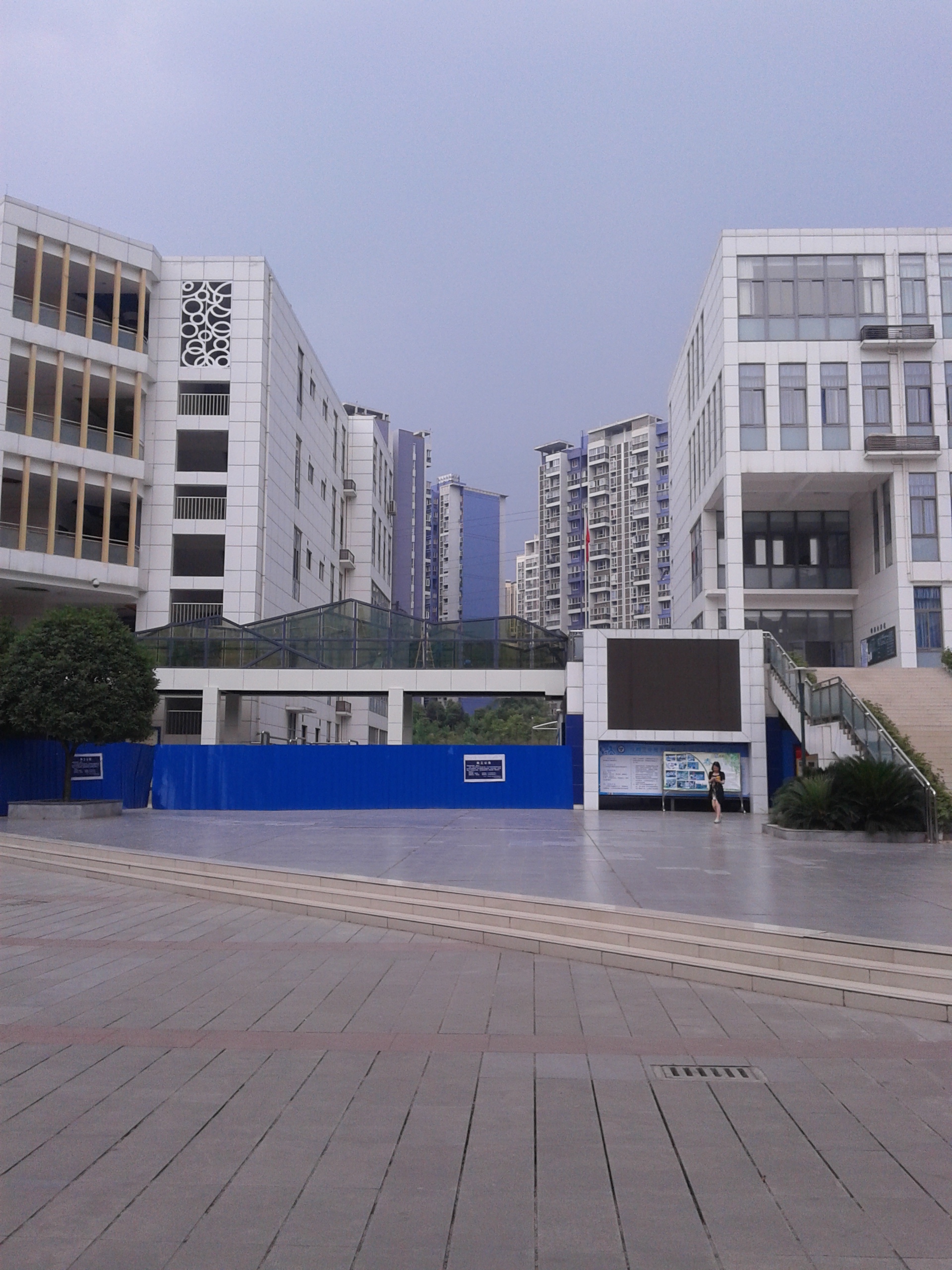 0834464219561.jpg