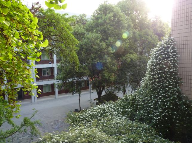 石室聯(lián)合中學蜀華分校怎么樣？