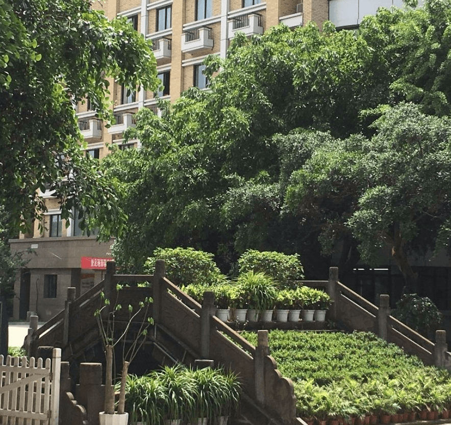 華陽中學