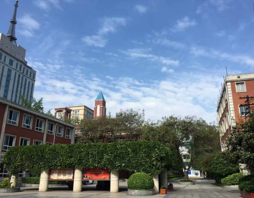 成都樹(shù)德實(shí)驗(yàn)中學(xué)2018年自主招生計(jì)劃
