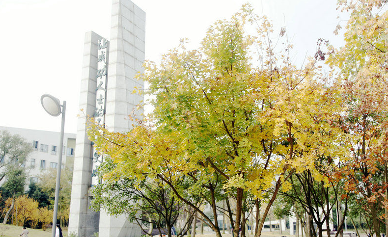 成都實外西區(qū)94人獲第六屆全國中學生科普科幻作文大賽獎