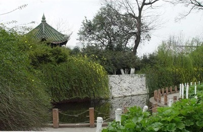 綿陽(yáng)南山中學(xué)2019年特長(zhǎng)生計(jì)劃