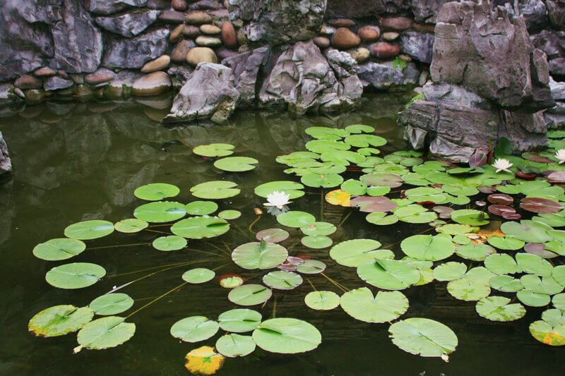 瀘州高級(jí)中學(xué)校校園風(fēng)采