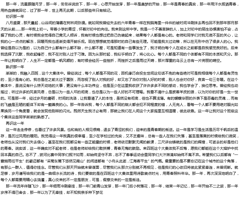 2019年中考滿(mǎn)分作文： 那一年