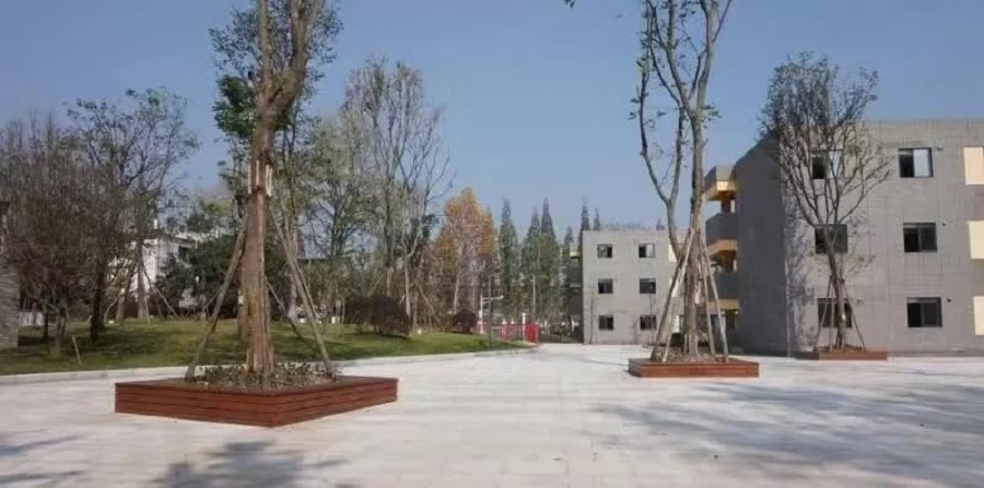 成都綿實(shí)外國(guó)語(yǔ)學(xué)校2019年招生公告公布了嗎？