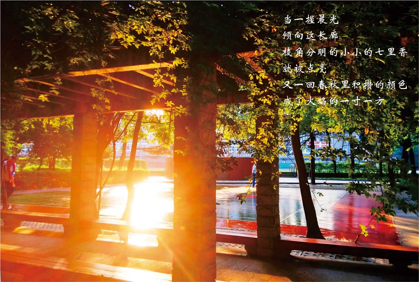 成都七中高新校區(qū)2019年中考分?jǐn)?shù)線是多少？