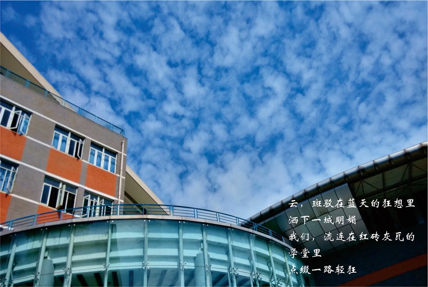 成都七中高新校區(qū)教學(xué)質(zhì)量好不好？