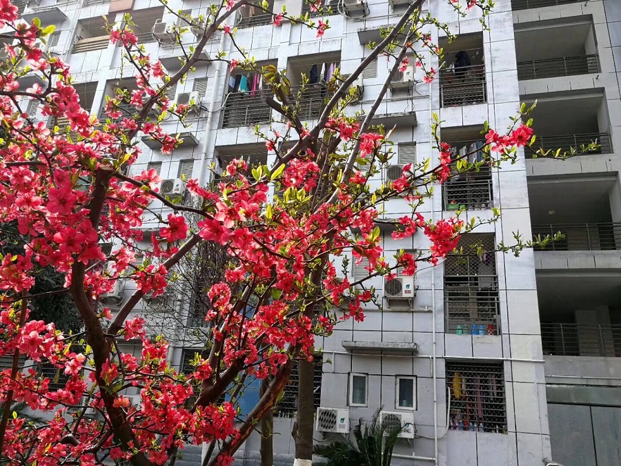 綿陽南山中學(xué)是一所公辦的高中吧？