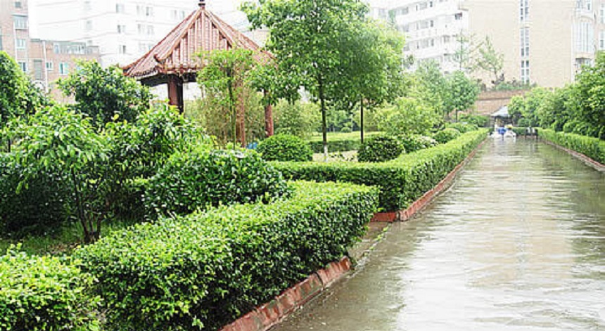 華興中學(xué)環(huán)境好不好？