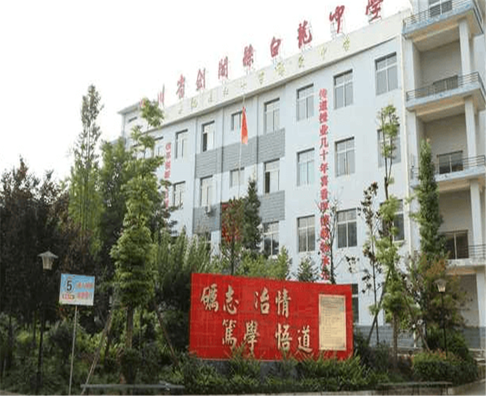 白龍中學(xué)2020年招生計(jì)劃公布了嗎？