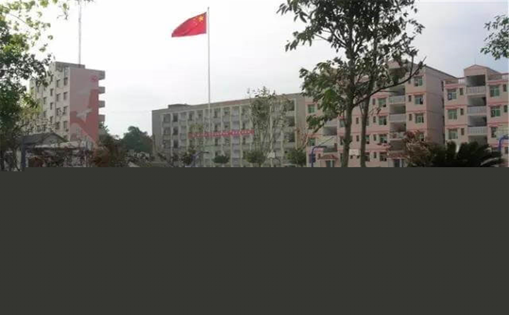 內(nèi)江市第十一中學(xué)學(xué)校招辦電話是多少？