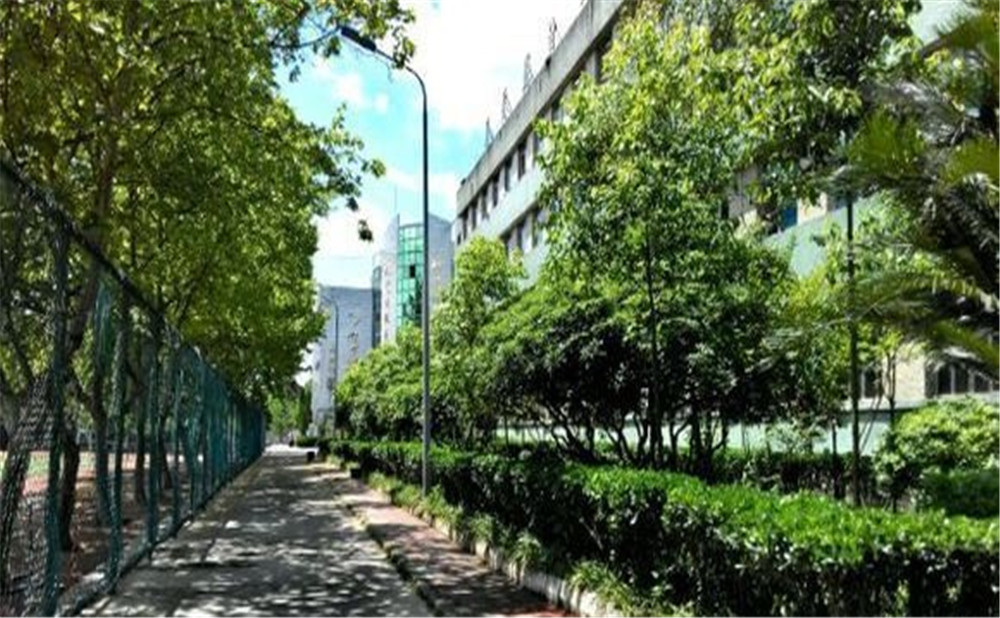 岳池縣第一中學(xué)2020年的招生計(jì)劃公布了嗎？