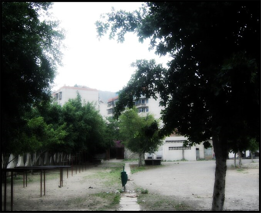 攀枝花市延邊縣中學(xué)校招辦電話是多少？