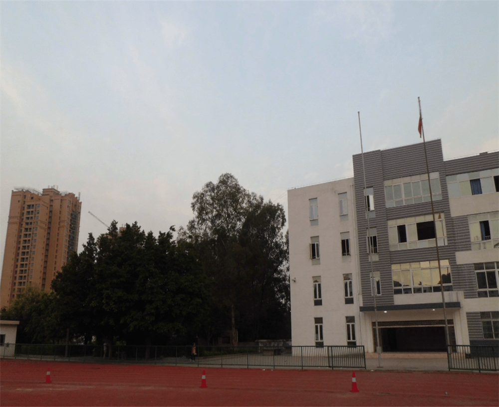 四川省攀枝花市第九中學(xué)校招辦電話(huà)是多少？