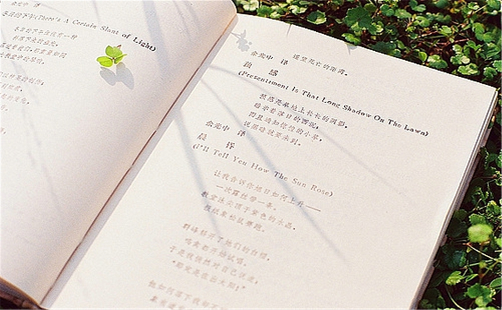 2020年中考滿分作文說(shuō)明文參考范文：一草一世界