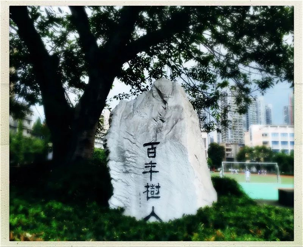 四川大學(xué)附屬中學(xué)2020年的錄取分?jǐn)?shù)線是多少？