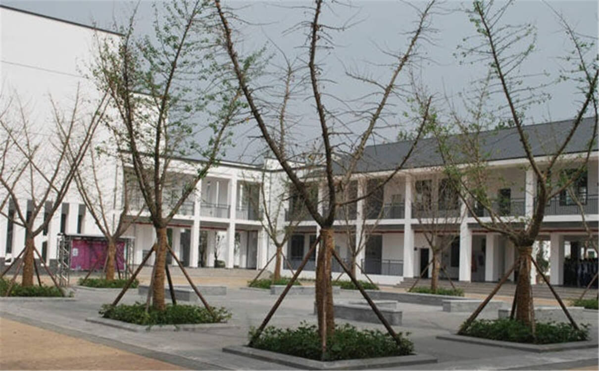 石室白馬中學(xué)的高中怎么樣？