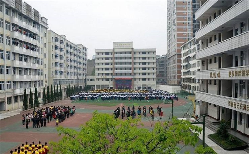陽(yáng)安中學(xué)每年的學(xué)費(fèi)是多少？