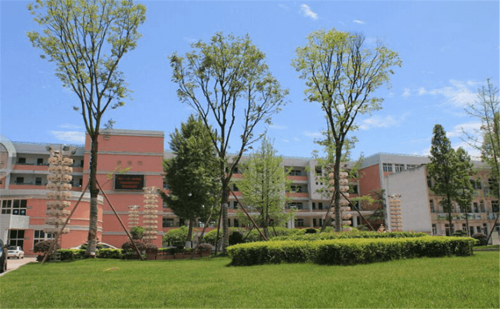 成都市籍田中學(xué)的老師怎么樣？