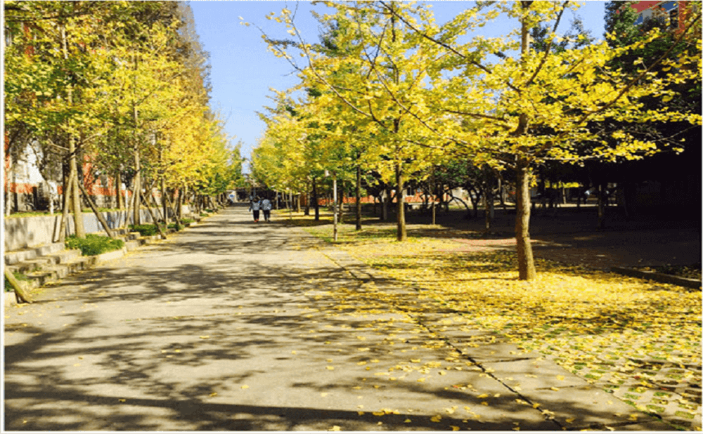 大邑中學(xué)2020年招生標(biāo)準(zhǔn)在哪兒看？