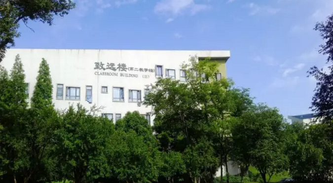 成都實(shí)驗(yàn)外國(guó)語(yǔ)學(xué)校（西區(qū)）的升學(xué)率怎么樣？