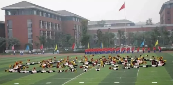 2020年成都七中高新校區(qū)的升學(xué)率有多少？