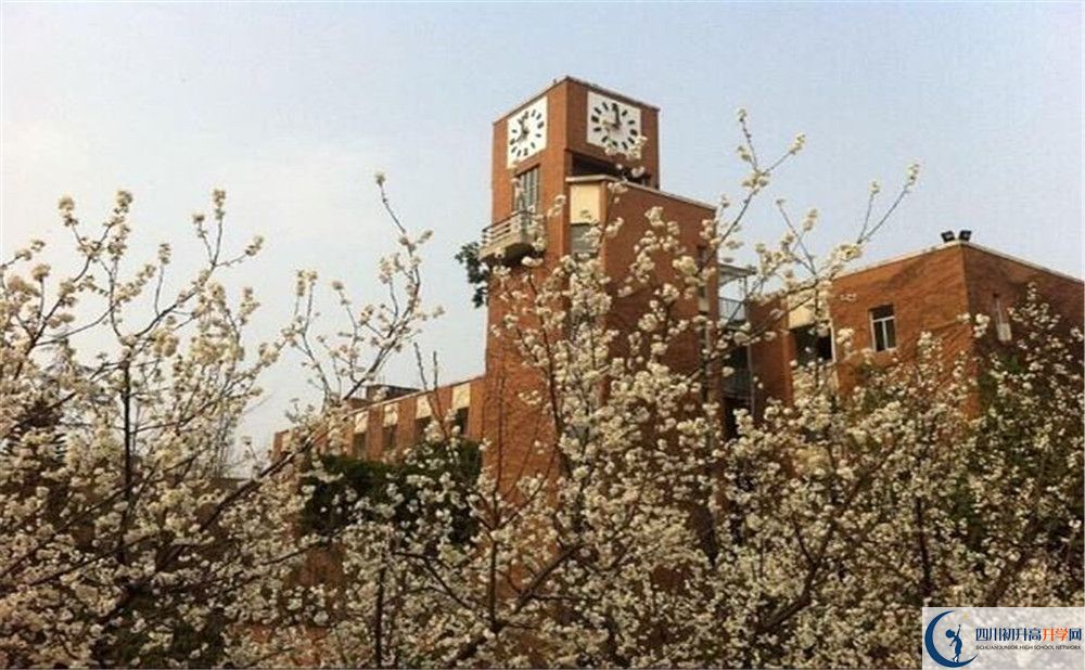 成都華西中學(xué)的學(xué)費(fèi)大概多少？