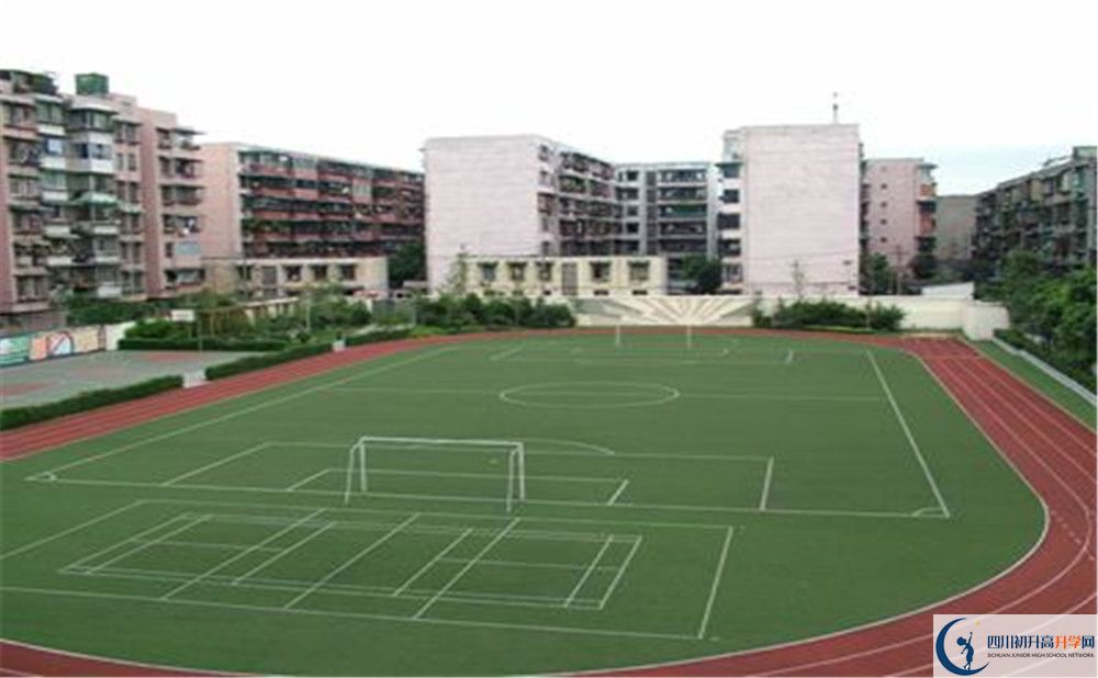 成都大學附屬中學的老師好不好？