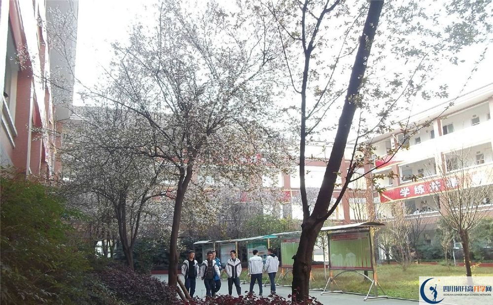 考崇慶中學的分數(shù)線是多少分？