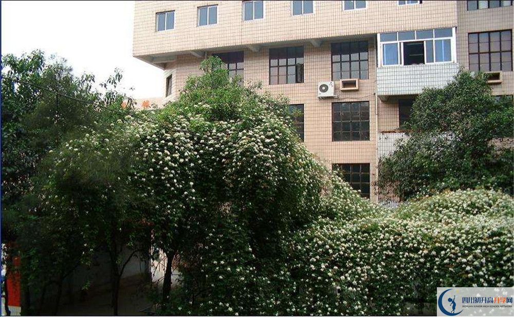 石室聯(lián)合中學蜀華分校住宿條件怎么樣？					