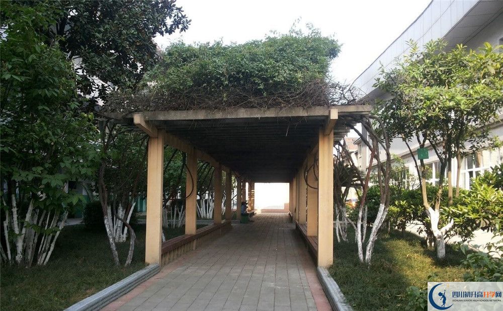 通錦中學(xué)2020年清華北大錄取學(xué)生有多少？