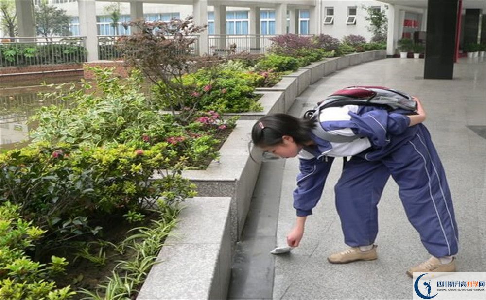 成都市龍泉中學(xué)初升高向外地招生嗎？