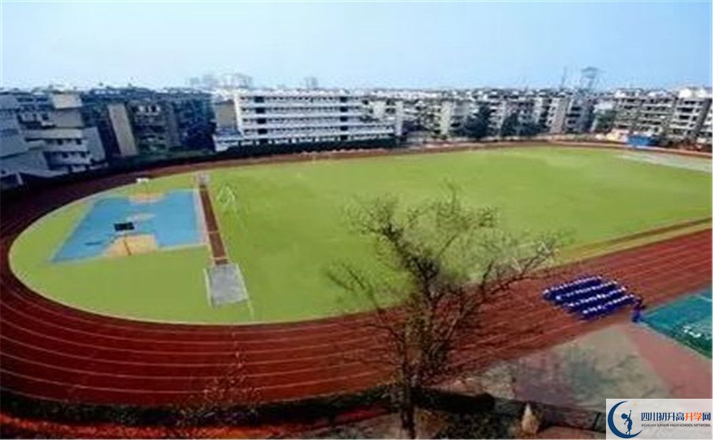 成都實外新都五龍山學校招生考試科目有哪些？