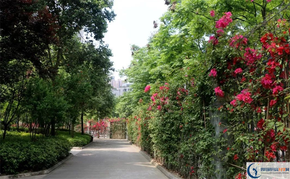 成都市第三中學(xué)平行班與實(shí)驗(yàn)班差多少？
