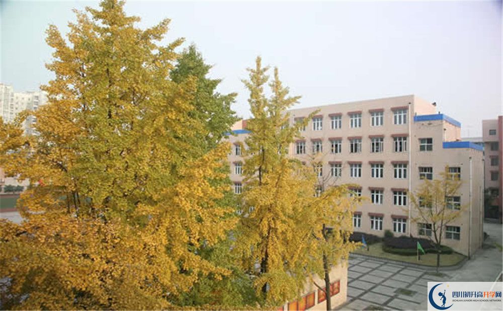 成都西藏中學是私立還是公立學校？