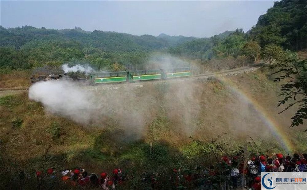 成都市泡桐樹中學國際班費用是多少？