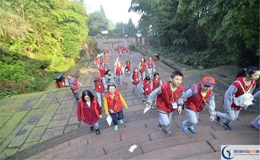 成都市泡桐樹中學(xué)和樹德中學(xué)誰好？