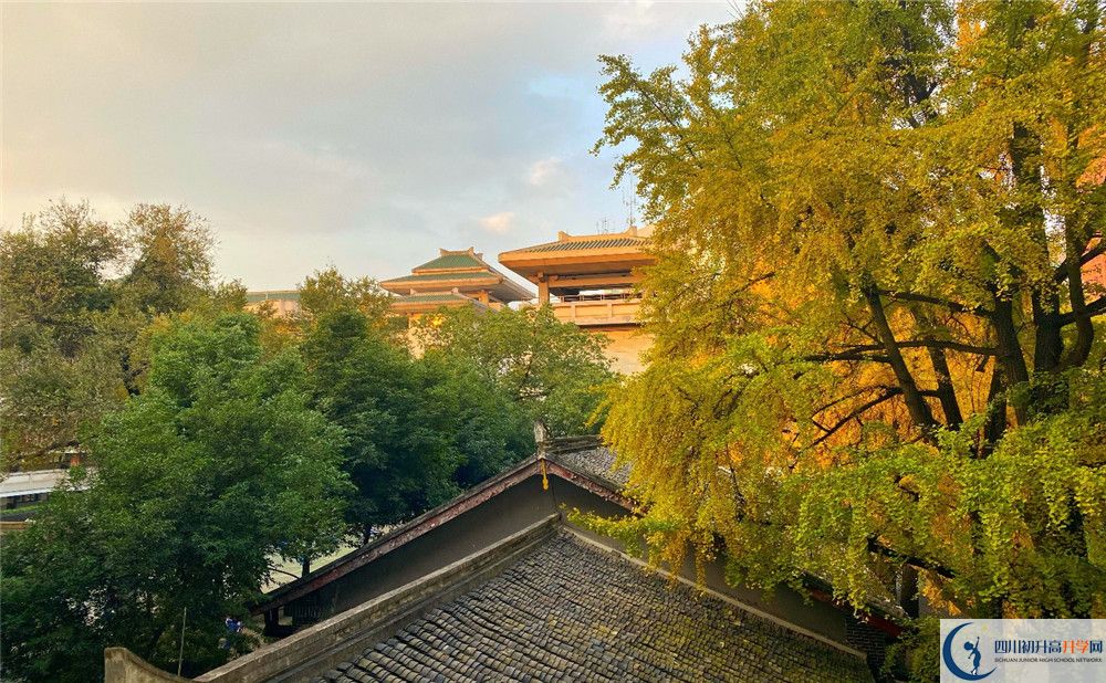 成都市泡桐樹(shù)中學(xué)平行班與實(shí)驗(yàn)班差多少？