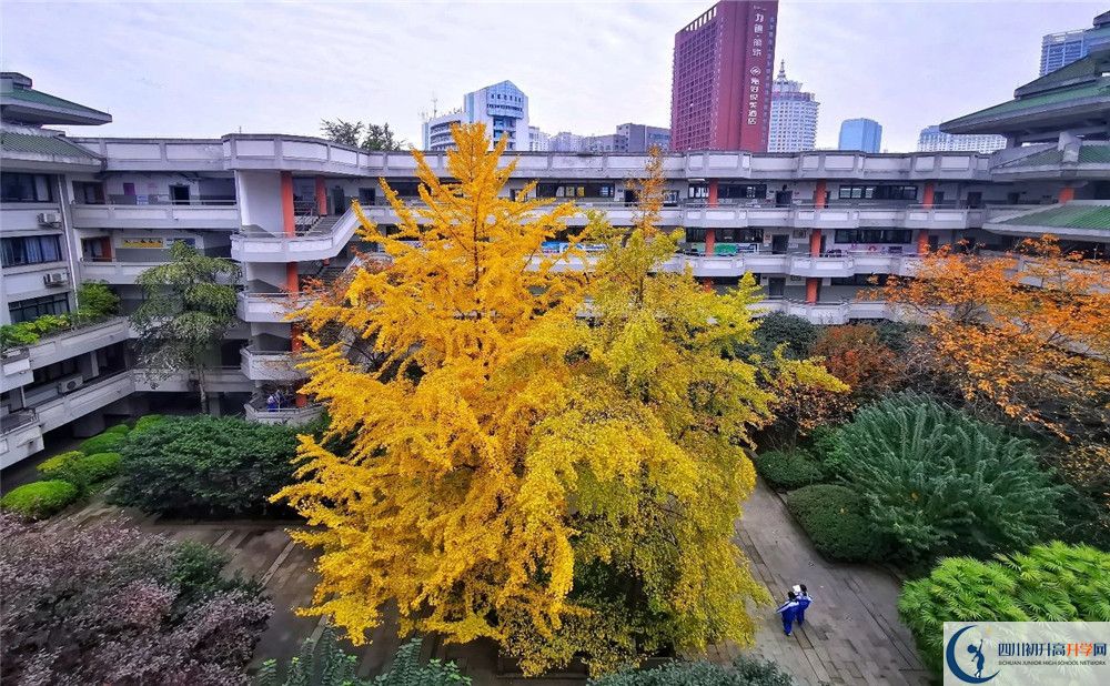 成都市泡桐樹(shù)中學(xué)2020年全國(guó)排名？