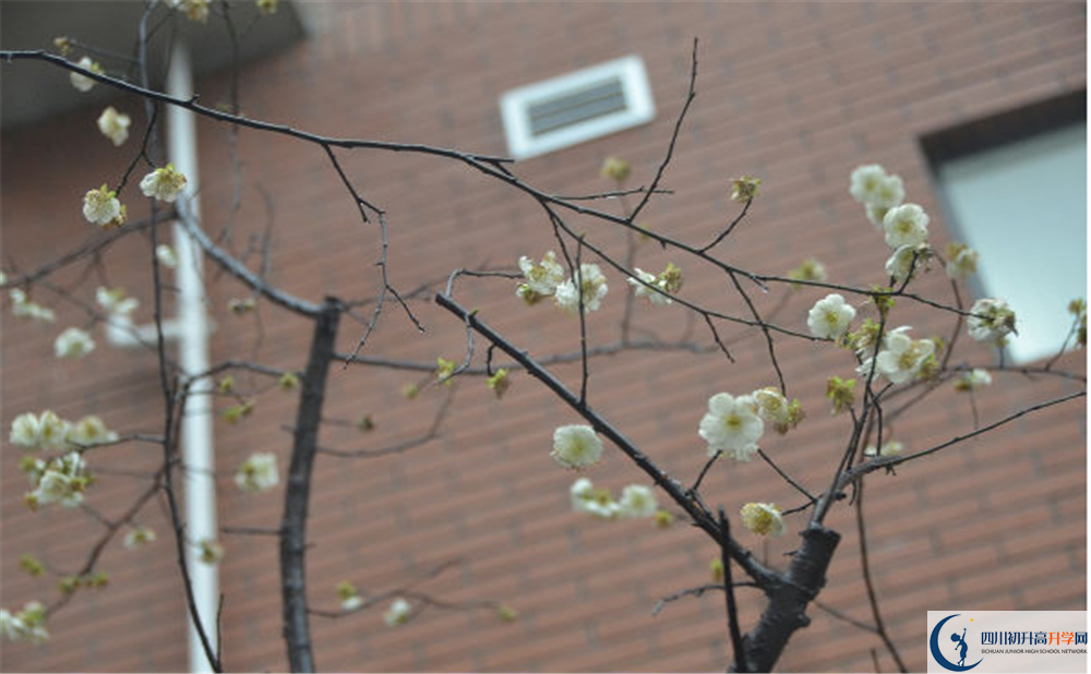 成都市華陽(yáng)中學(xué)是私立還是公立學(xué)校？