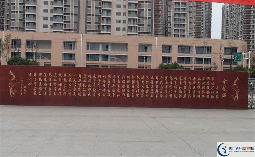 成都經(jīng)濟(jì)技術(shù)開發(fā)區(qū)實(shí)驗(yàn)中學(xué)2020年全國(guó)排名是多少？