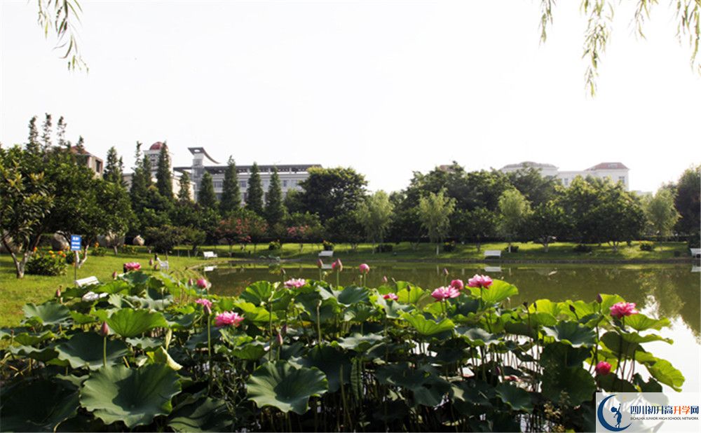 四川師范大學附屬第三實驗中學是私立還是公立學校？