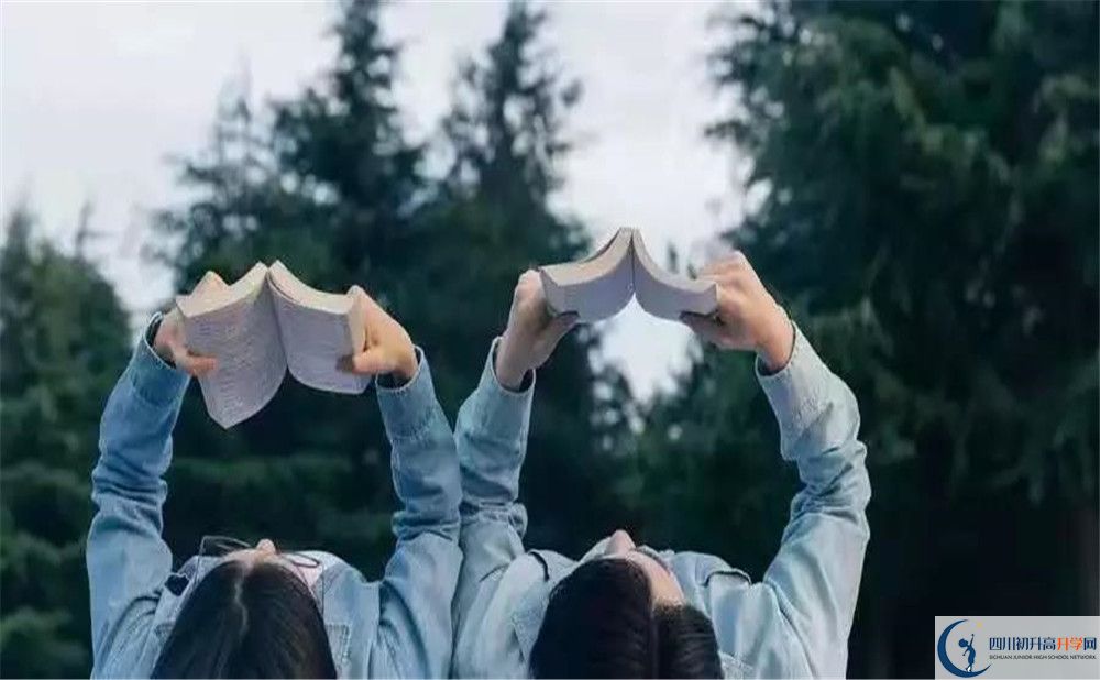 2020樹德博瑞實(shí)驗(yàn)學(xué)校初升高分班考試題難不難？			
