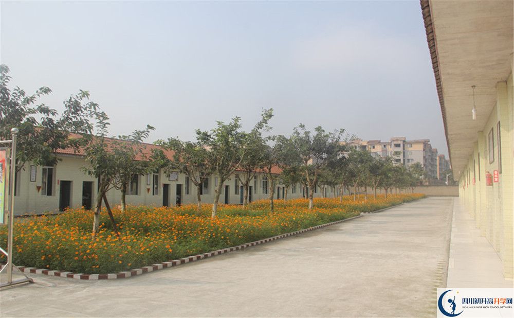 強項實驗中學(xué)在全國高中排名多少？