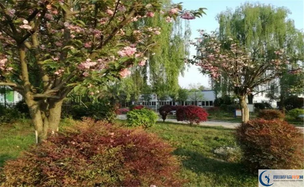 四川師范大學(xué)附屬第三實(shí)驗(yàn)中學(xué)實(shí)驗(yàn)班人數(shù)是多少？