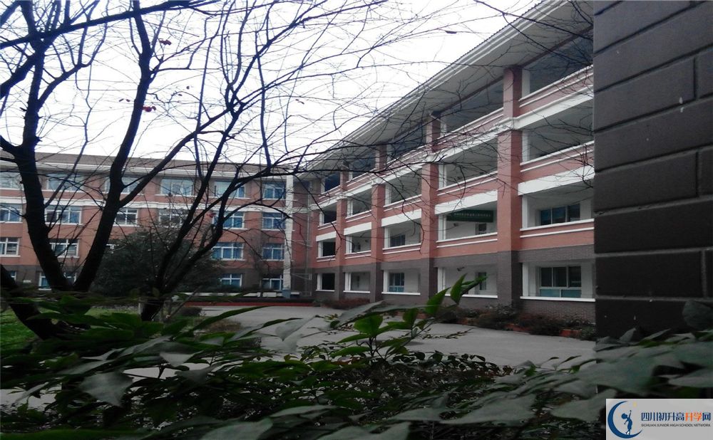 2020崇慶中學中初升高分班考試題難嗎？