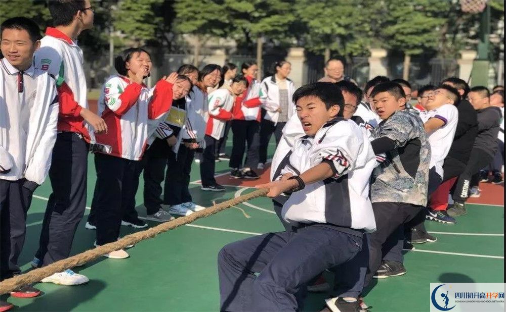 成都樹德中學(xué)面向全國(guó)招生嗎？