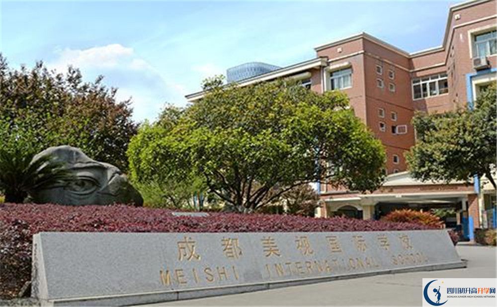 成都美視國際學(xué)校補課嗎？