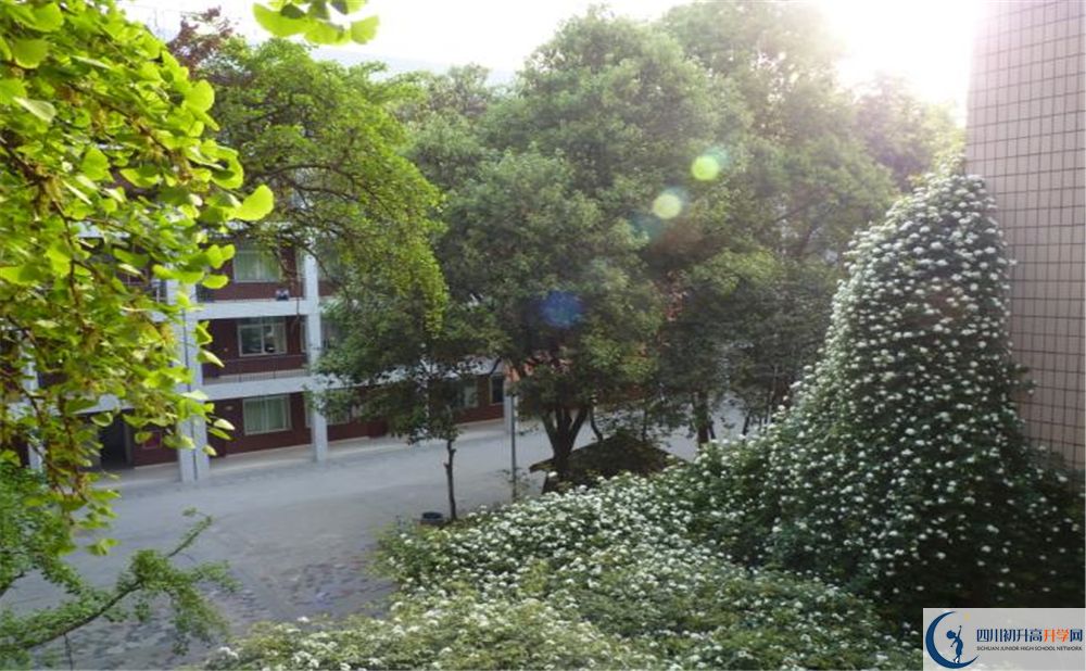 2020石室聯(lián)合中學(xué)蜀華分校二診數(shù)學(xué)試題答案在哪看？