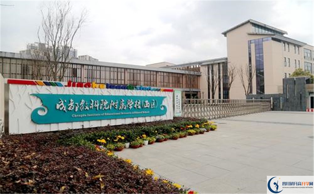 成都教科院附屬學(xué)校2020年高考人數(shù)是多少？